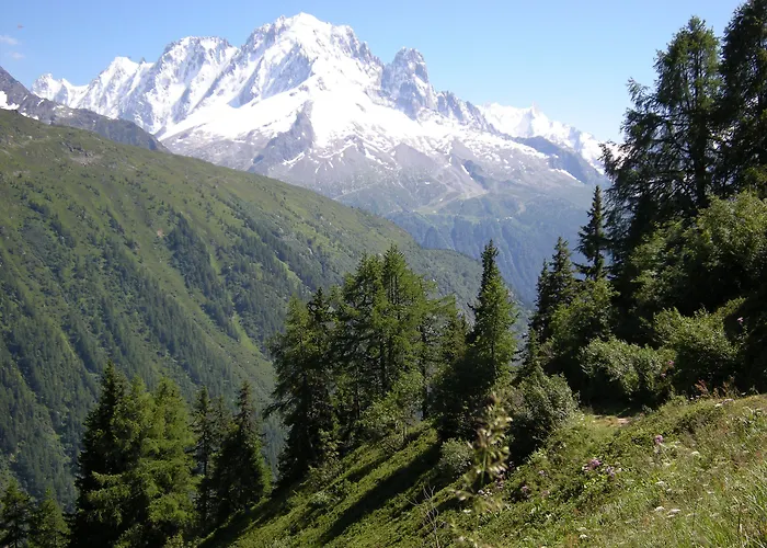 Restaurant La Couronne Hotell 3*